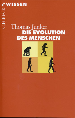 Die Evolution des Menschen