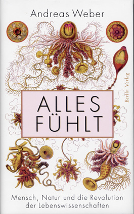 Alles fühlt