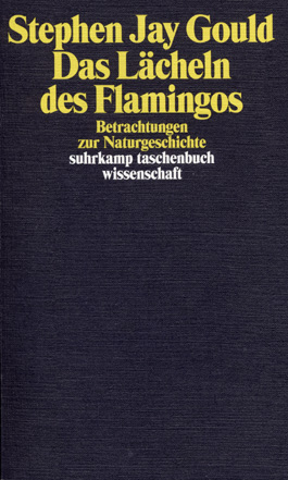 Das Lächeln des Flamingos