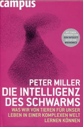 Die Intelligenz des Schwarms