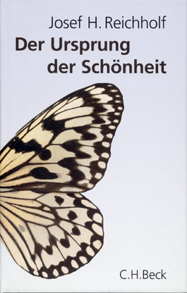 Der Ursprung der Schönheit