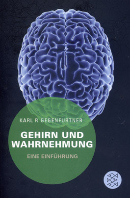 Gehirn und Wahrnehmung