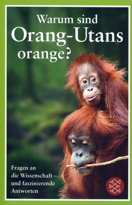 Warum sind Orang-Utans orange?