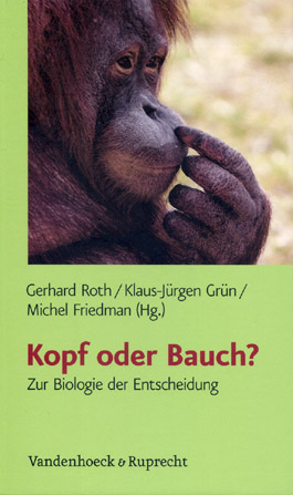 Kopf oder Bauch?