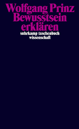 Bewusstsein erklären