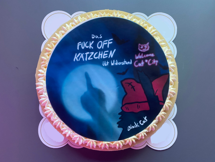Blog20240802FOCat2
